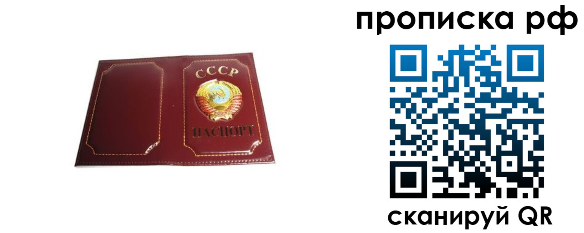 временная регистрация собственник в Никольском